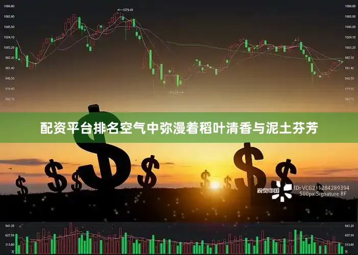 配资平台排名空气中弥漫着稻叶清香与泥土芬芳