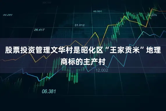 股票投资管理文华村是昭化区“王家贡米”地理商标的主产村